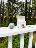 Gray Mouse Ball
